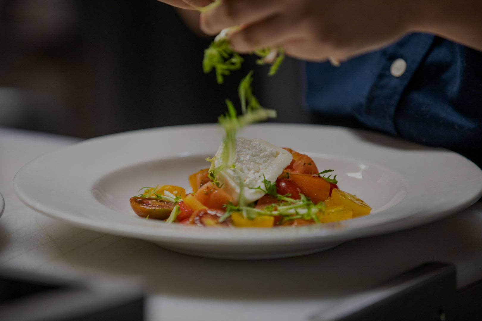 Best catering in Chicago Ascione Bistro